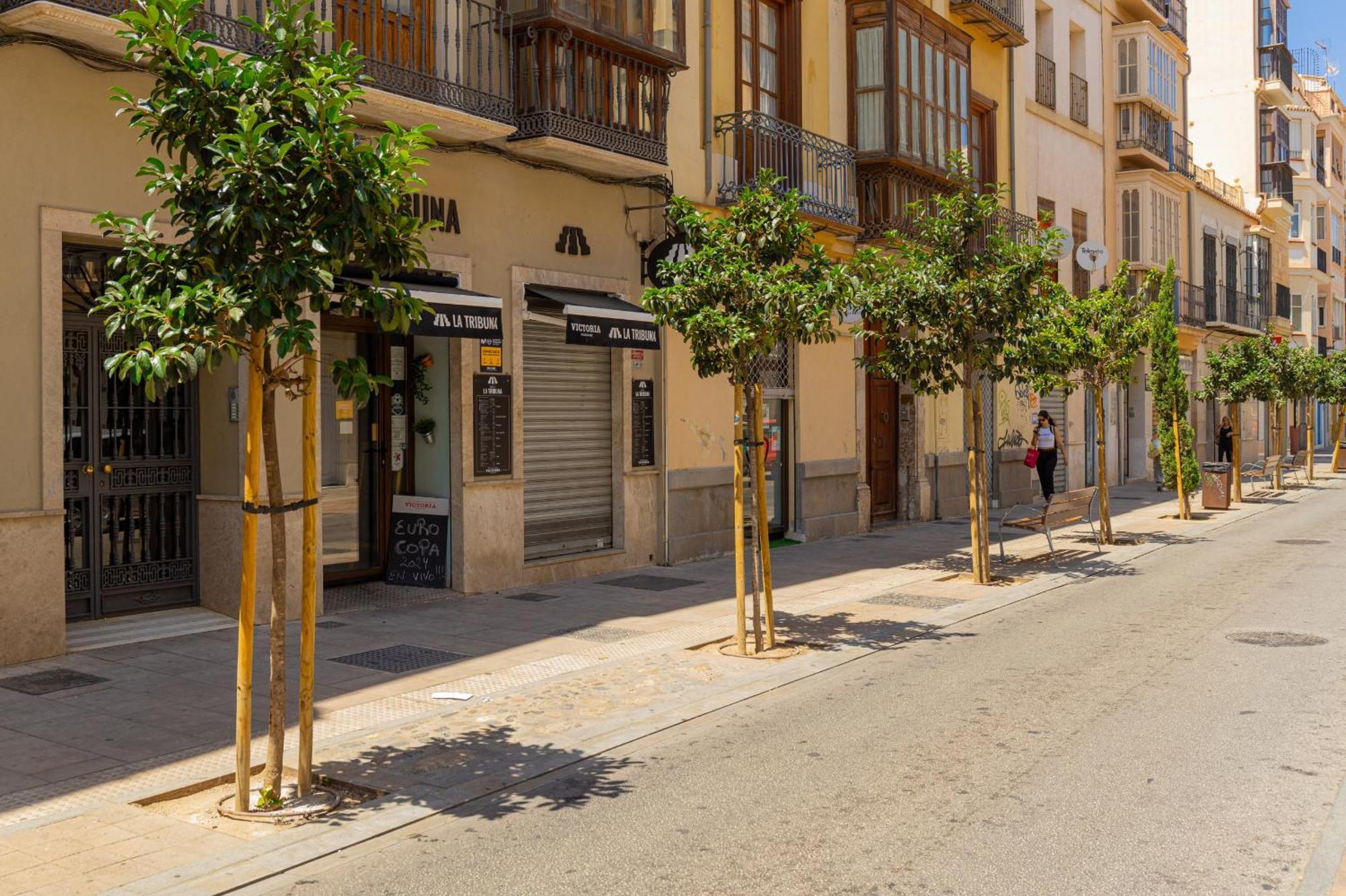 马拉加C103 - Sunny Terrace, Old Town Views公寓 外观 照片